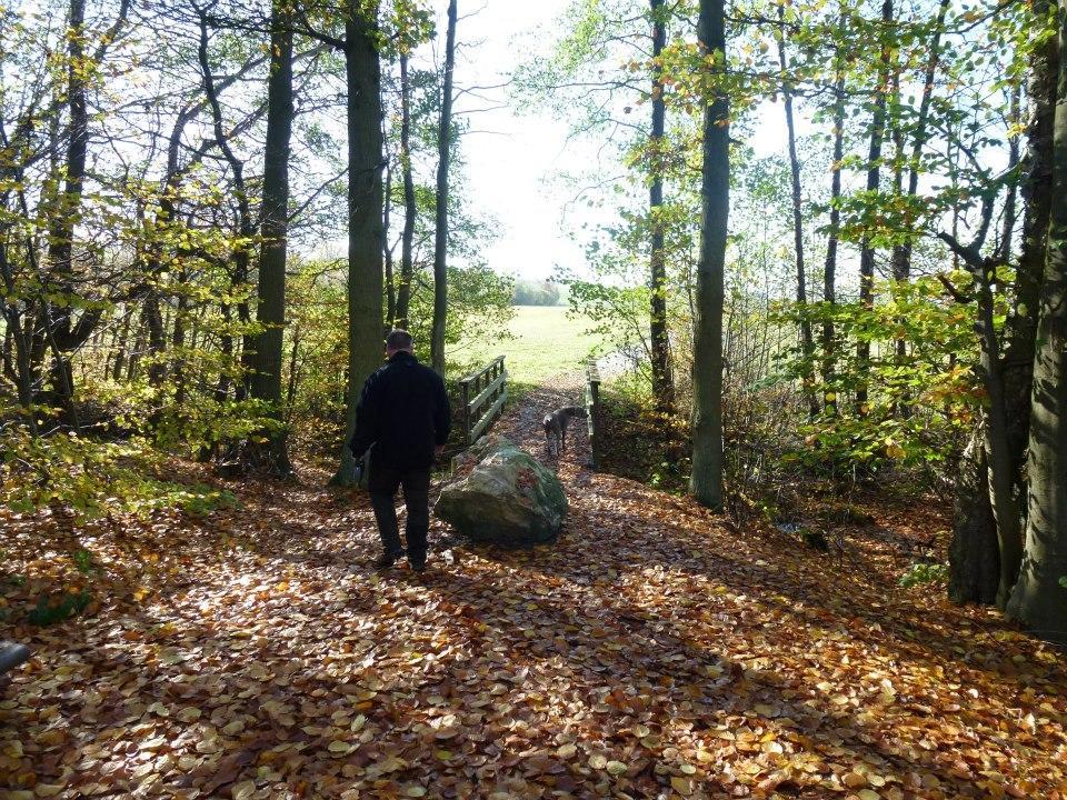 Zur Dorfschanke Hausen  Exterior foto